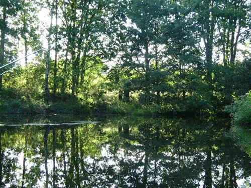 camping-zum-oertzewinkel-munsterkreutzen-r9vya