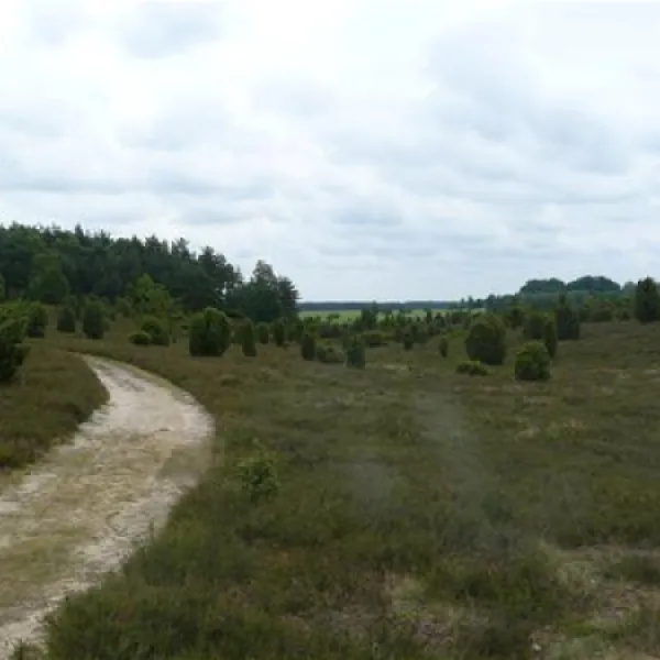 camping-zum-oertzewinkel-munsterkreutzen-w0vja