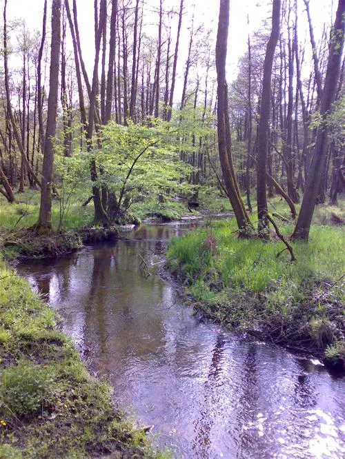 camping-zum-oertzewinkel-munsterkreutzen-wgvff