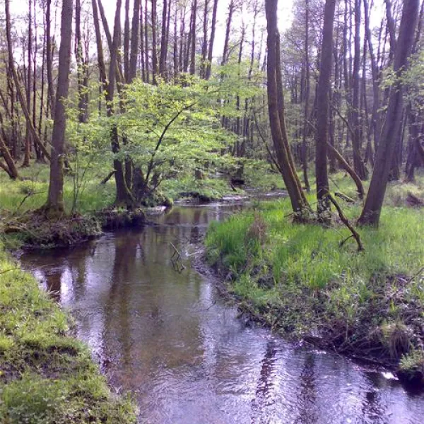 camping-zum-oertzewinkel-munsterkreutzen-wgvff