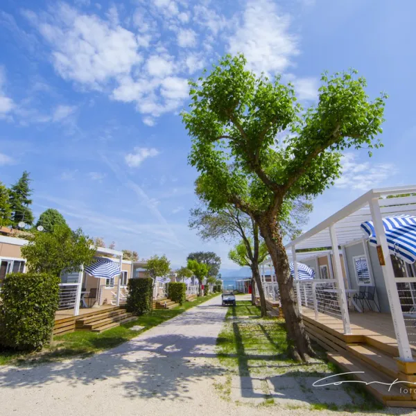camping-bergamini-s-benedetto-pcexi