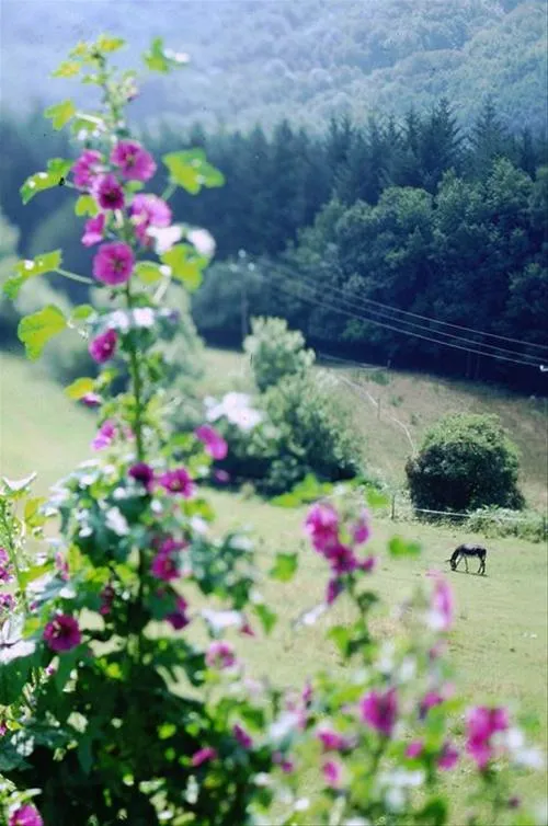 domaine-lacanal-nages-euorj