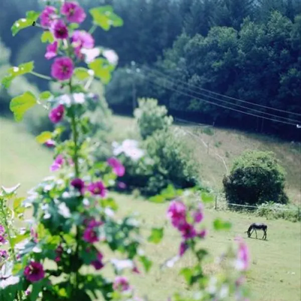 domaine-lacanal-nages-euorj