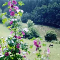 domaine-lacanal-nages-euorj