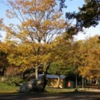 camping-orlando-in-chianti-localit-cafaggiolo-clzi2