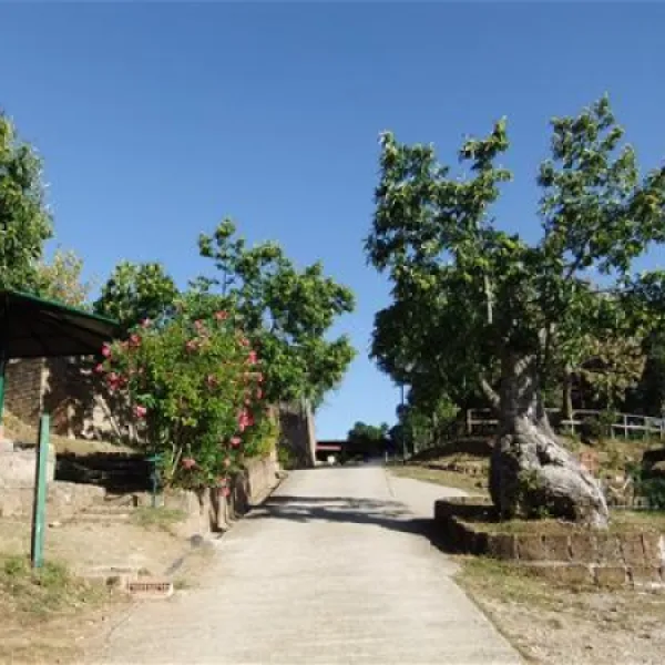 Camping Lucherino
