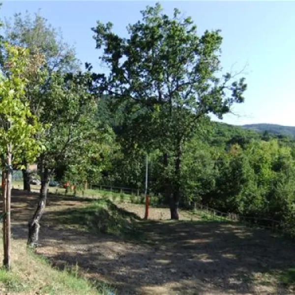 Camping Lucherino