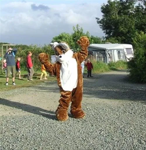 camping-aire-naturelle-le-coq-hardi-hengoat-xpm4v