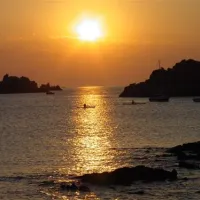 camping-aire-naturelle-le-coq-hardi-hengoat-zyppn