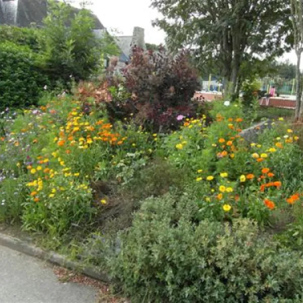 camping-municipal-de-la-hallerais-taden-7bjka
