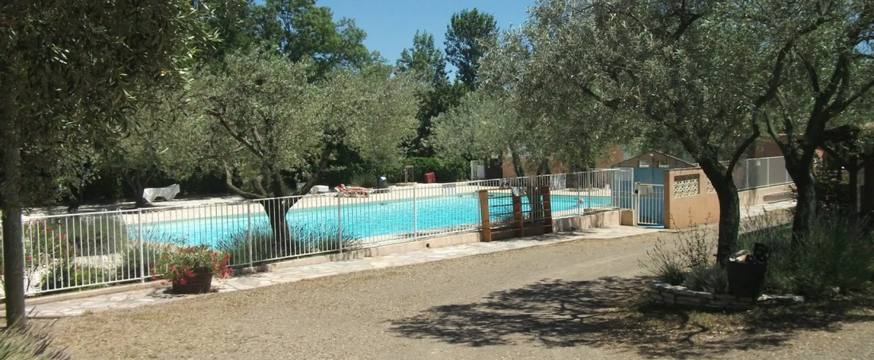 L'Oliveraie