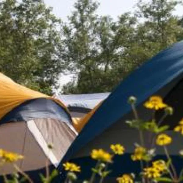 echo-canyon-campground-canon-city-qmk3l