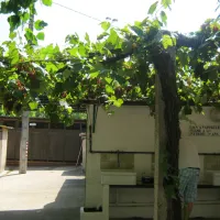 les-treilles-antibes-alpes-maritimes-xnczr