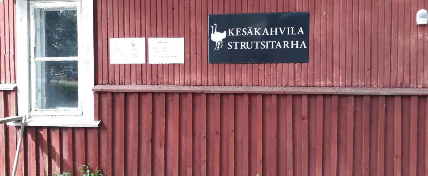 Ketolan Strutsitila