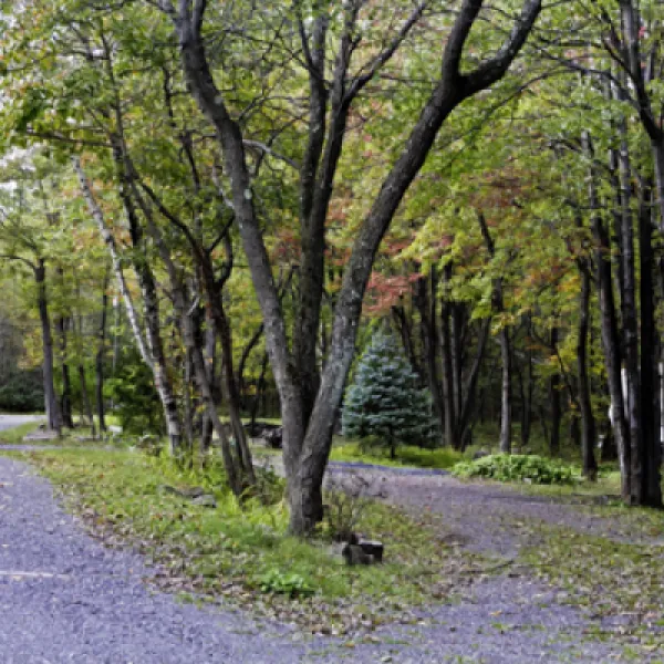peaceful-woodlands-family-campground-blakeslee-ew2bz