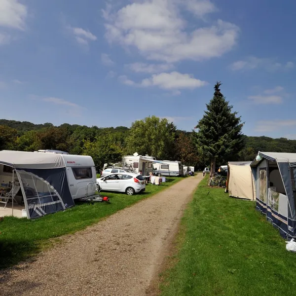 de-bosrand-sint-geertruid-4mjrz