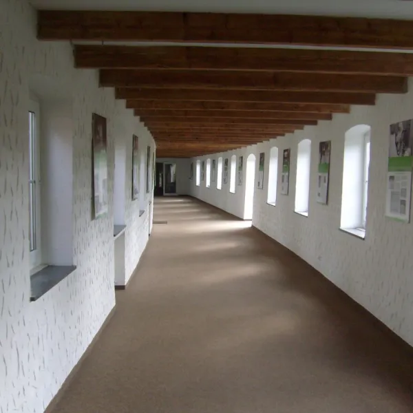 campotel-bad-rothenfelde-bad-rothenfelde-teutoburger-woud-q4gih