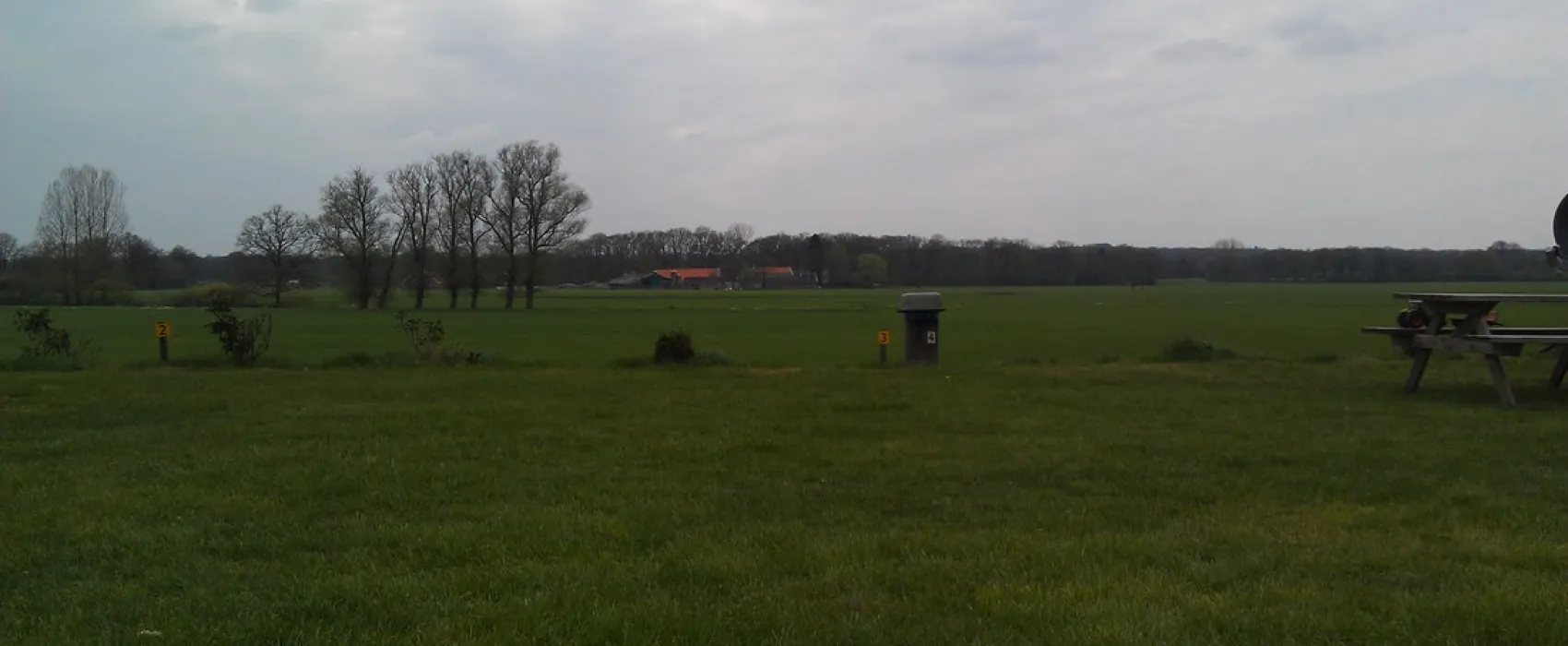 Dinkelweide