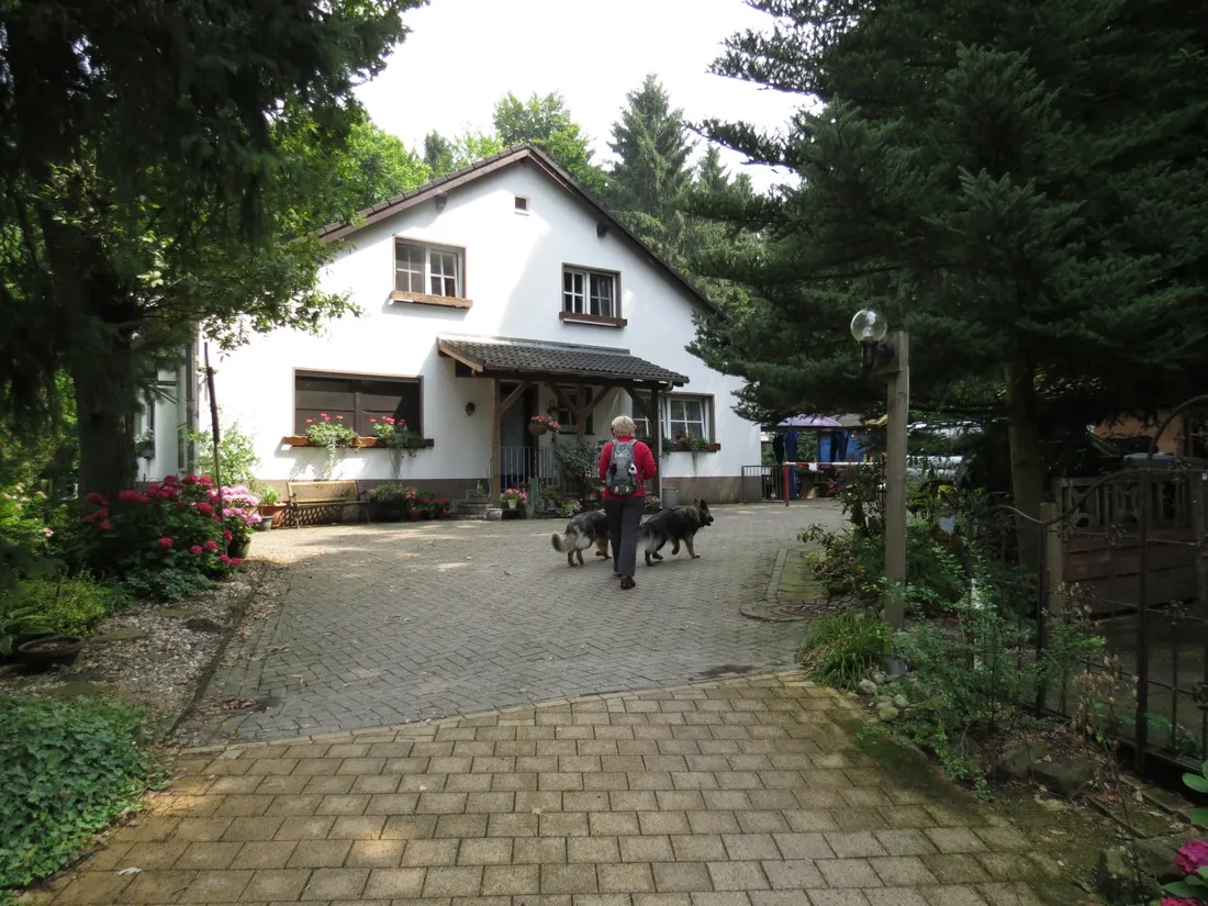 dorenther-klippen-ibbenburen-l5xek