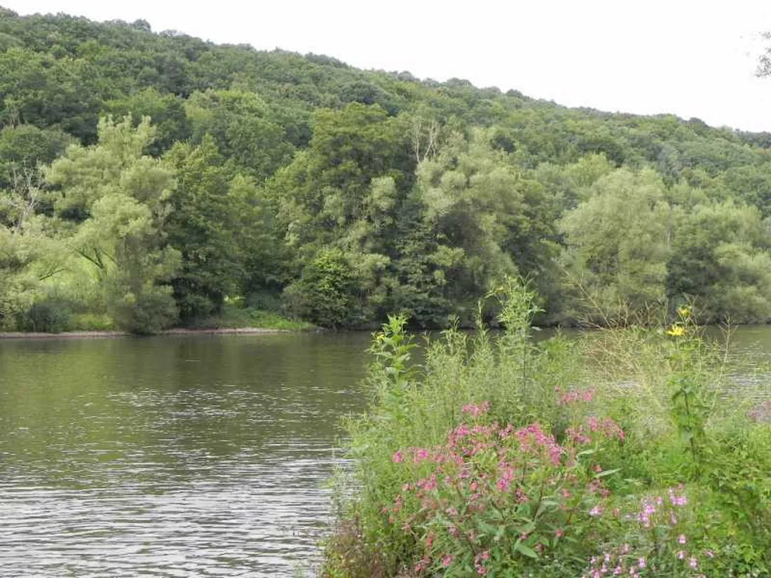 park-wertheim-bettingen-wertheim-am-main-bettingen-ypvkv