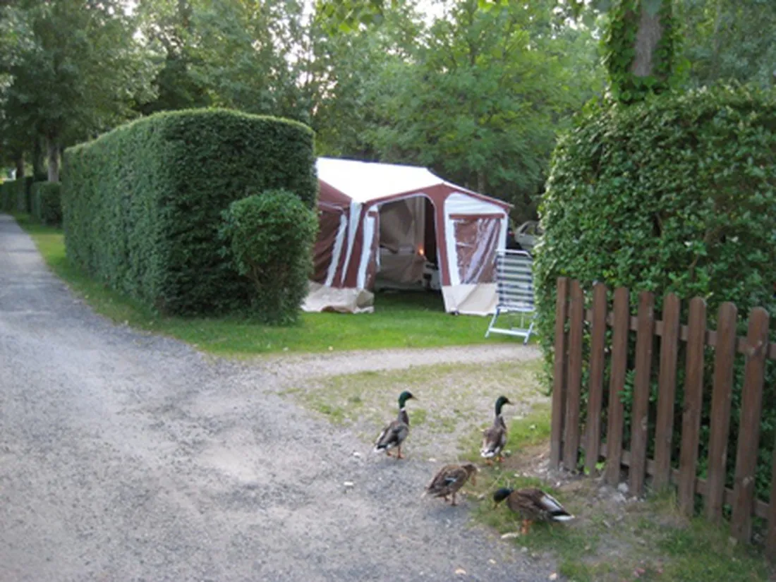 de-la-petite-source-la-plage-aux-champs-st-arnoult-en-yvelines-3sk68