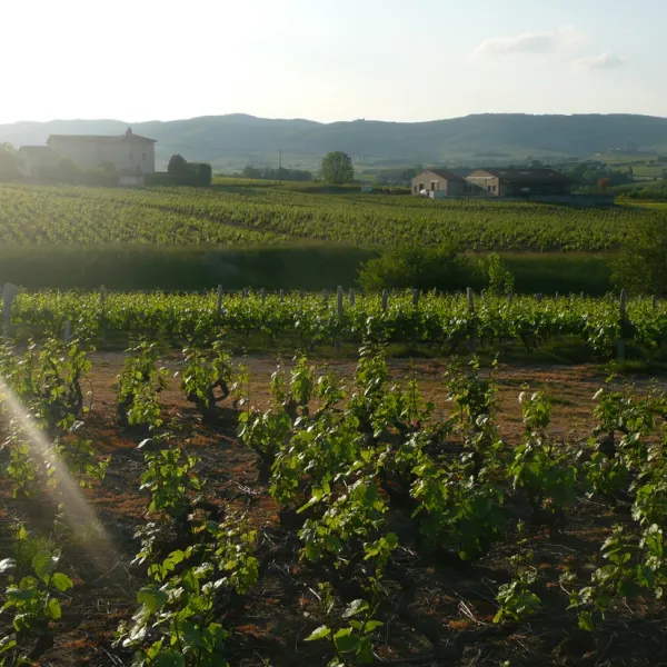 domaine-de-la-maison-germain-blaceret-hmkbc
