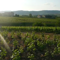 domaine-de-la-maison-germain-blaceret-hmkbc