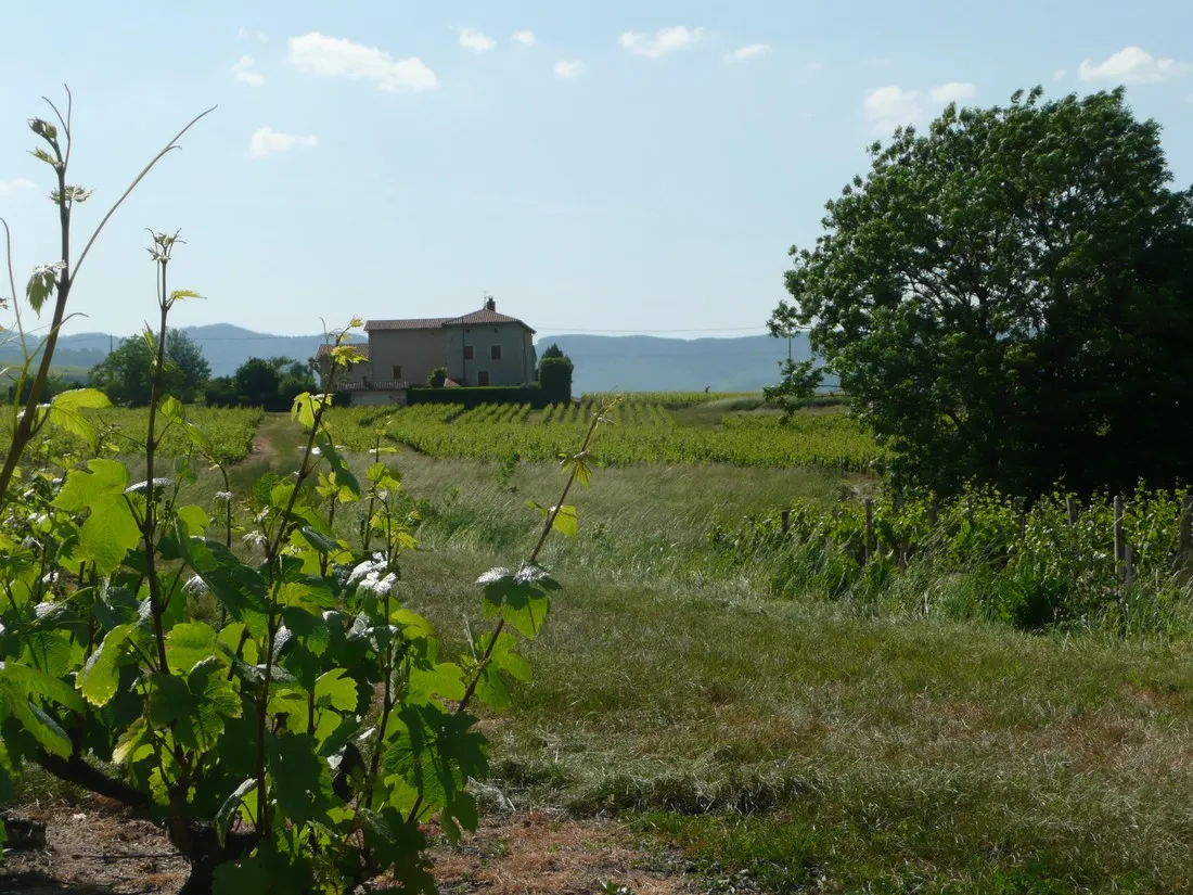 domaine-de-la-maison-germain-blaceret-ofy8j