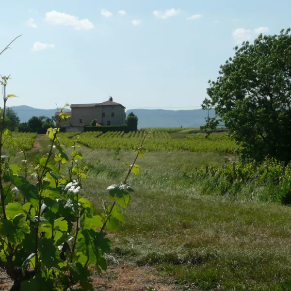 domaine-de-la-maison-germain-blaceret-ofy8j