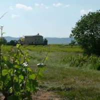 domaine-de-la-maison-germain-blaceret-ofy8j