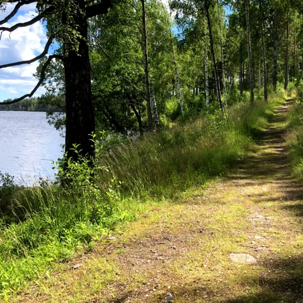 sagaliden-en-liten-plats-bergsjo-kk6wq