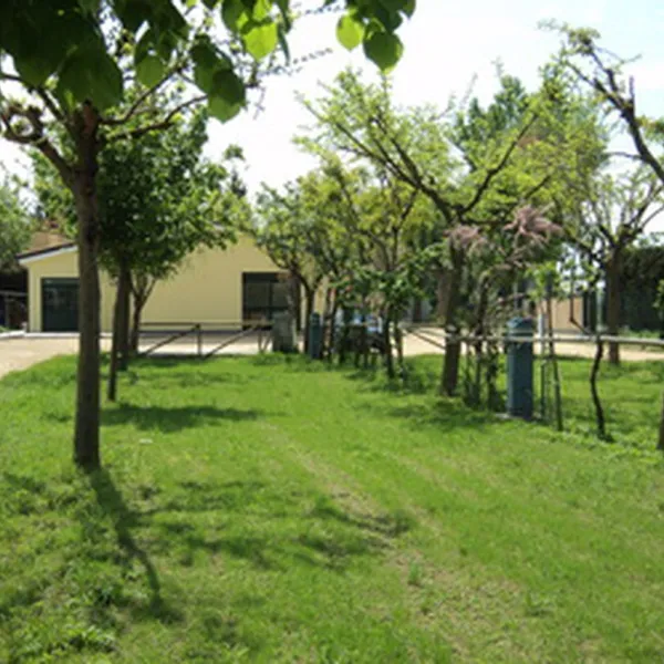 agricampeggio-da-scarpa-cavallino-treporti-vhyyu