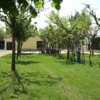 agricampeggio-da-scarpa-cavallino-treporti-vhyyu