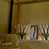 andante-game-farm-naboomspruit-waterberg-egb3x
