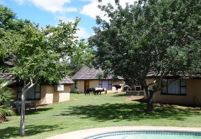 andante-game-farm-naboomspruit-waterberg-hlgda