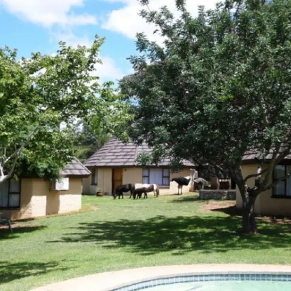 andante-game-farm-naboomspruit-waterberg-hlgda