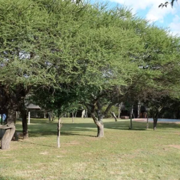 andante-game-farm-naboomspruit-waterberg-yzhdk