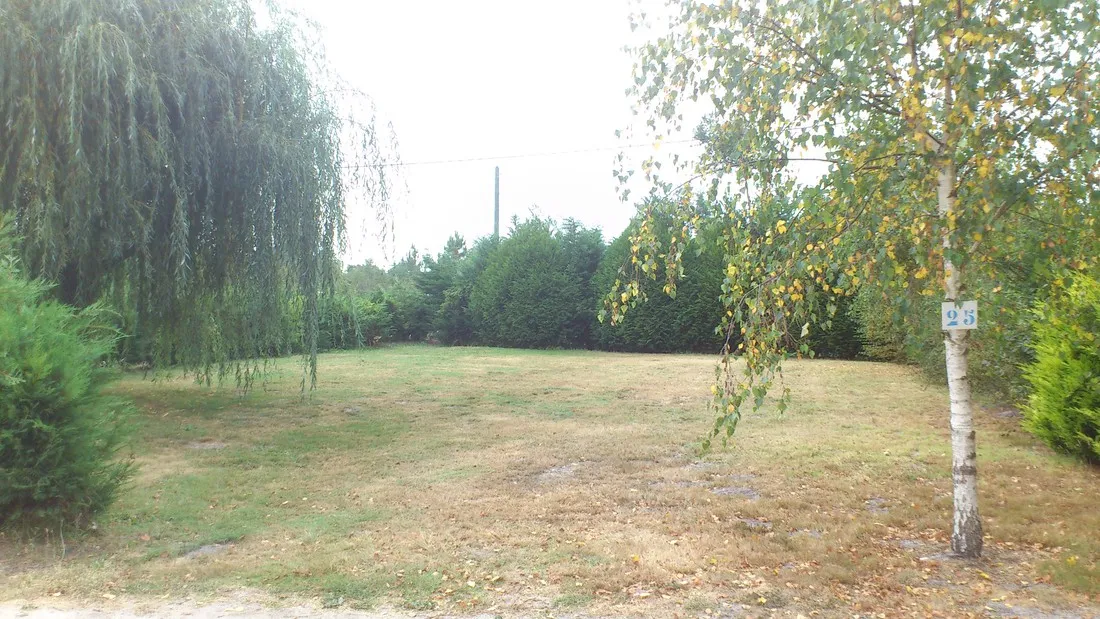 le-bonheur-est-dans-le-pre-vendays-montalivet-gironde-wsi0d