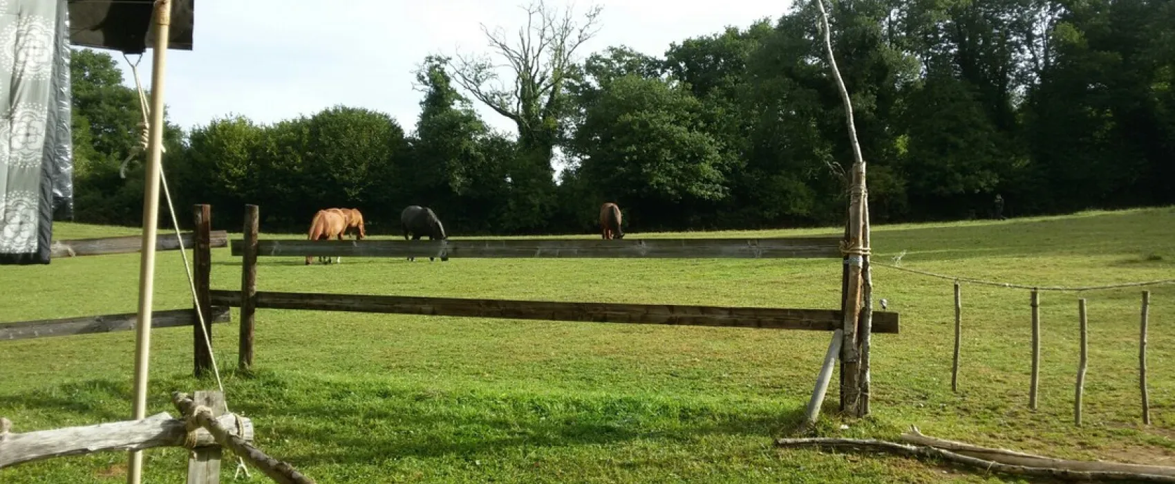 Safari-Normandie