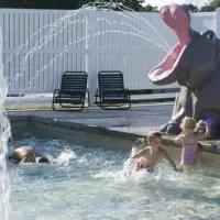 yogi-bears-jellystone-park-at-lake-monroe-bloomington-8mkgz