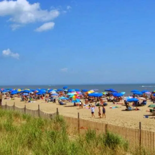 Delaware Beaches Jellystone Park