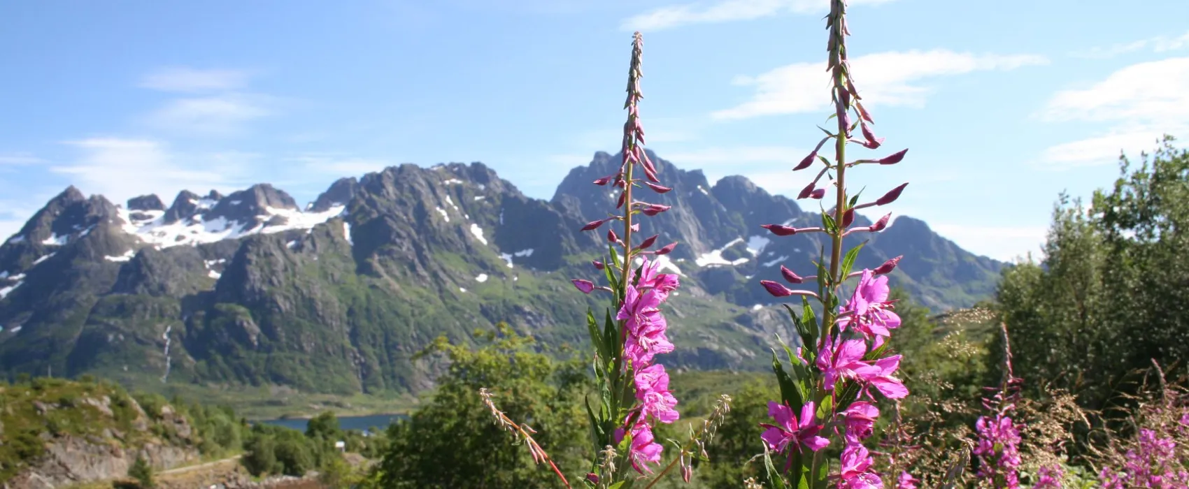 Laukvik Bobilcamp