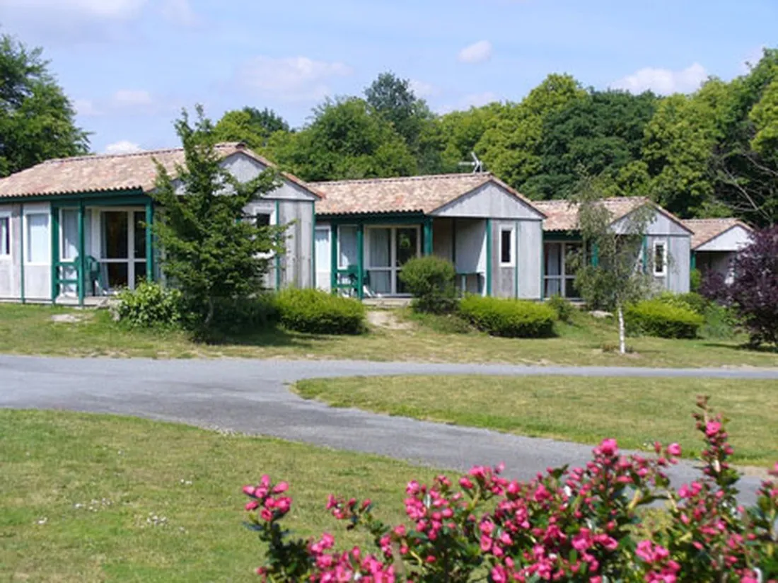 le-rouge-gorge-st-laurent-sur-sevre-f4n7m