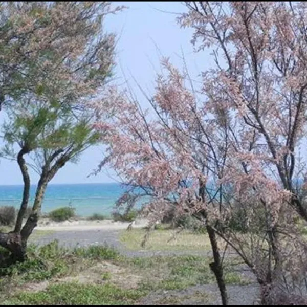 europ-2000-marseillan-plage-p8fzz