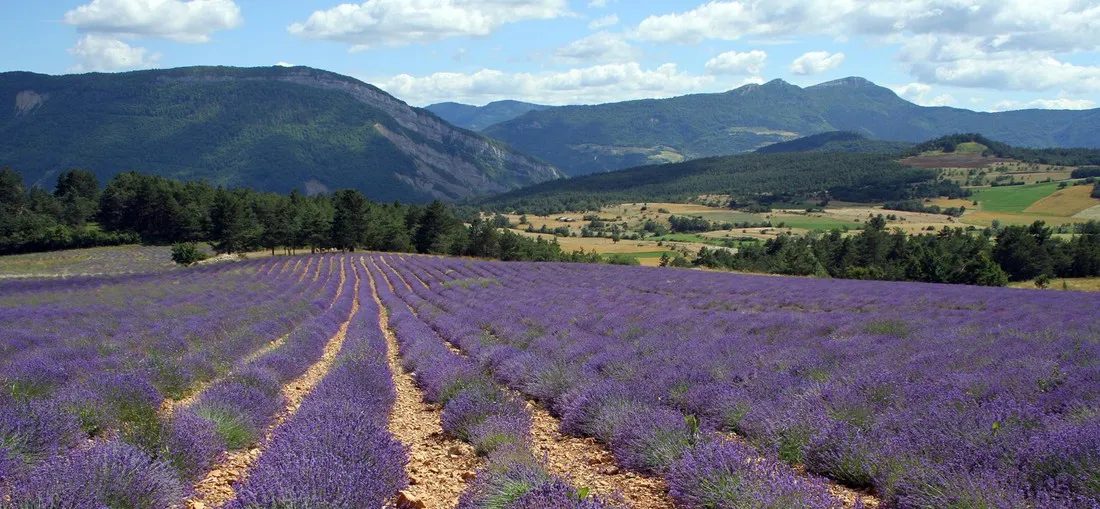 yelloh-village-le-domaine-provencal-frankrijk-e110p