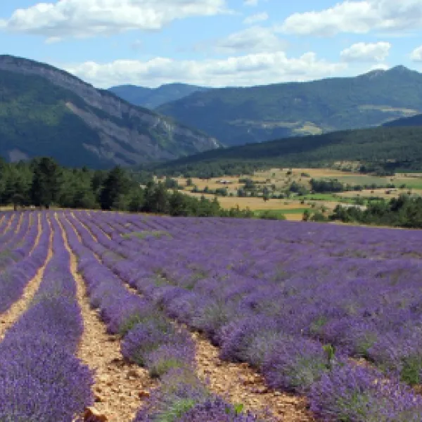 yelloh-village-le-domaine-provencal-frankrijk-e110p