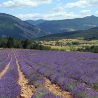 yelloh-village-le-domaine-provencal-frankrijk-udvtm