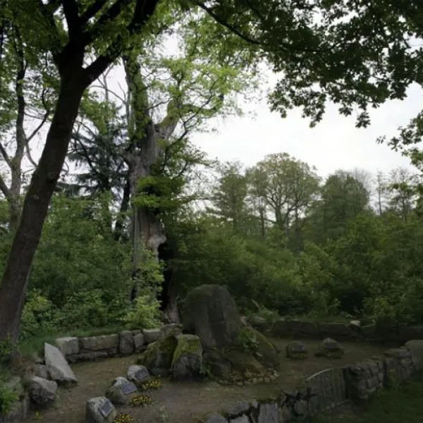campingplatz-heidenau-heidenau-evyzh