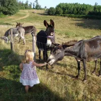 le-petit-paradis-vergt-tu6qv