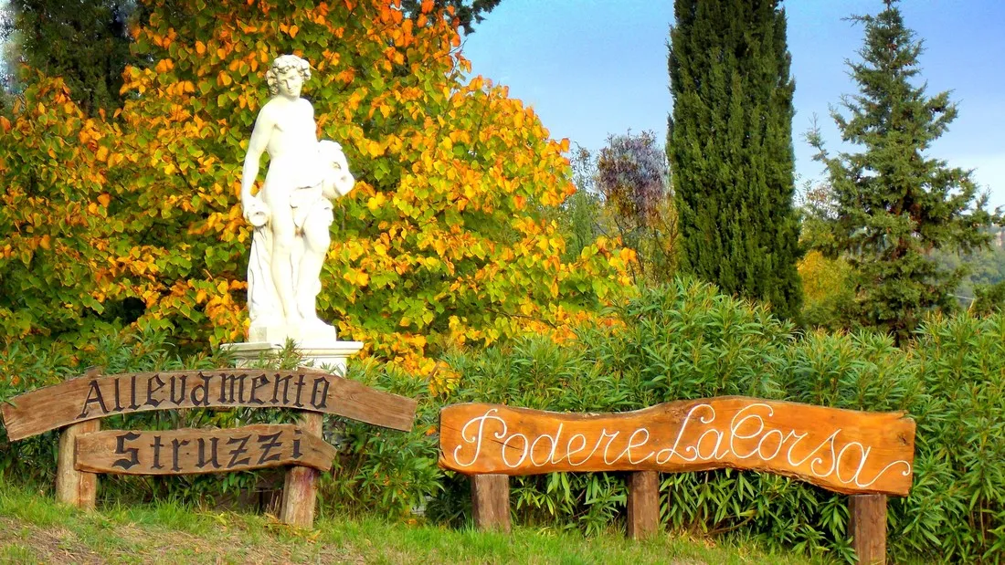podere-la-corsa-italie-inqhc